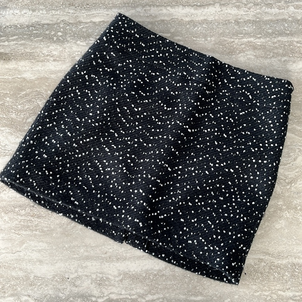 The Limited mini skirt